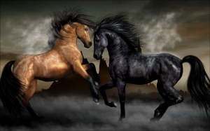 HD-Horse-Wallpapers (2)