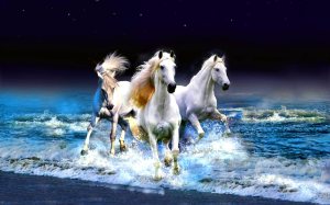 HD-Horse-Wallpapers (3)